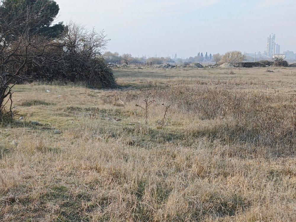 იყიდება მიწა ქალაქ კასპში